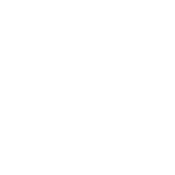 X icon